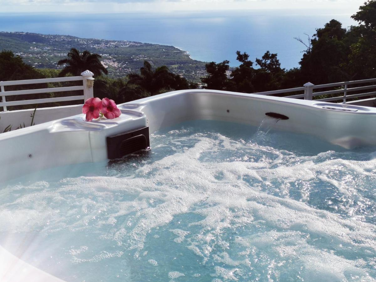 Belavue & Spa Prive, Avec Vue Panoramique Sur Mer, Jardin Creole Paysager, Jacuzzi Prive Буйянт Екстериор снимка